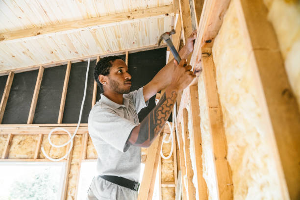 Best Spray Foam Insulation  in Palmer Lake, CO